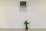 Mika Rottenberg, AC and Plant, 2018. Installation view at MAMbo – Museo d’Arte Moderna di Bologna, 2019. Photo credit Giorgio Bianchi _ Comune di Bologna. Courtesy l’artista e Hau ser & Wirth