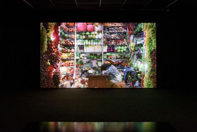 Mika Rottenberg, Cosmic Generator, 2017. Installation view at MAMbo – Museo d’Arte Moder na di Bologna, 2019. Photo credit Giorgio Bianchi _ Comune di Bologna. Courtesy l’artista e Hauser & Wirth