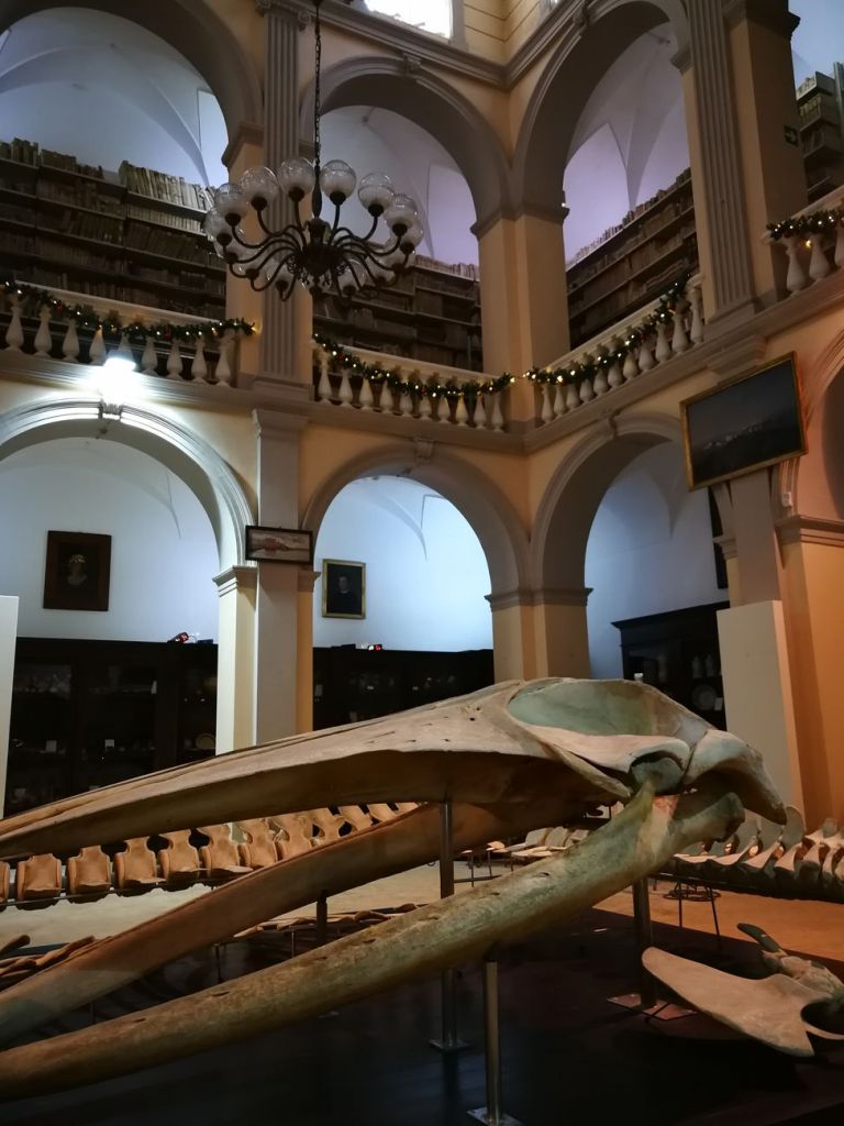 Museo Civico Emanuele Barba, Gallipoli