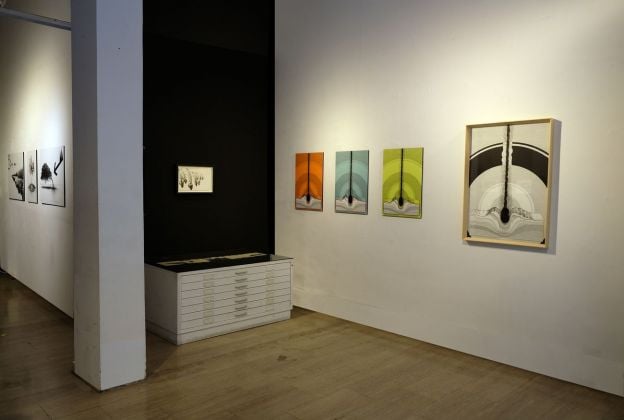 Nicola Toffolini. Whoom! Installation view at Squadro, Bologna 2019