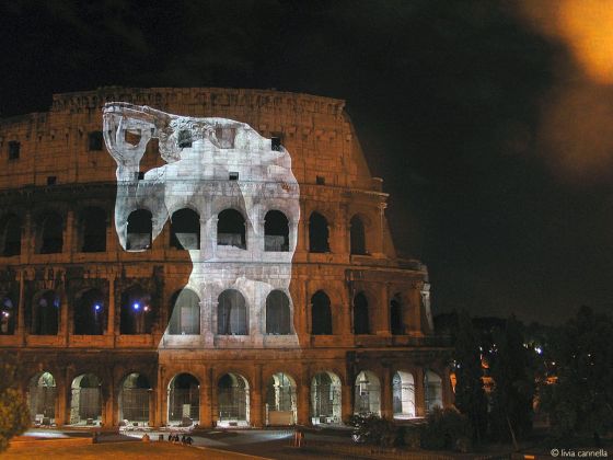 Roma, città olimpica per sempre. Colosseo, Roma 2010. Progetto e realizzazione dell’installazione scenografica di Livia Cannella