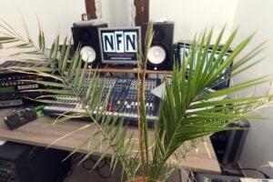 Fra arte, botanica e indagini sonore. Intervista a Plants Dub