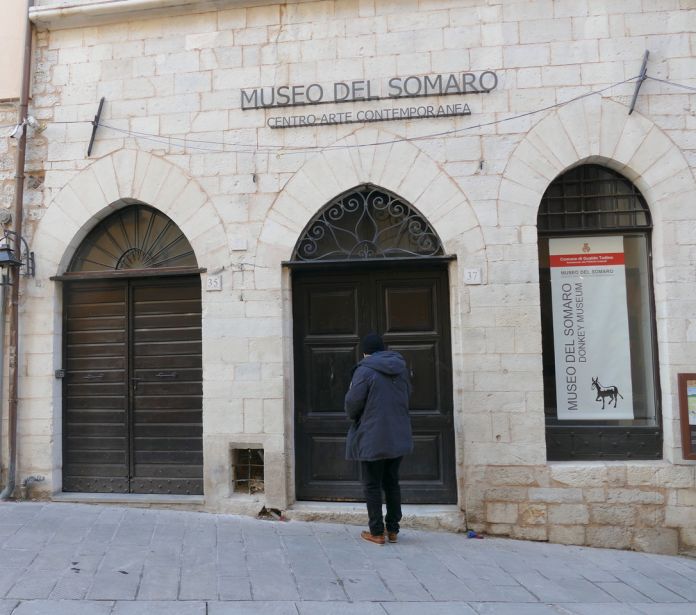 Museo del Somaro, ingresso