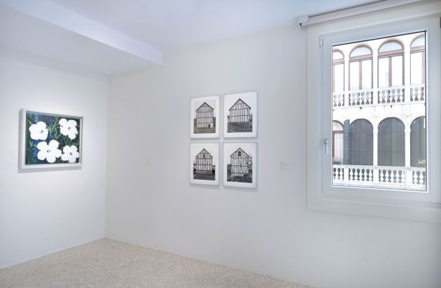 Dal gesto alla forma. Installation view at Collezione Peggy Guggenheim, Venezia 2019. Photo Matteo de Fina