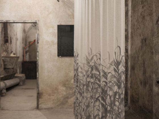 Francesco Ciavaglioli. Fremo Immagine. Installation view at Fondazione Pastificio Cerere, Roma 2019. Courtesy l’artista & Fondazione Pastificio Cerere