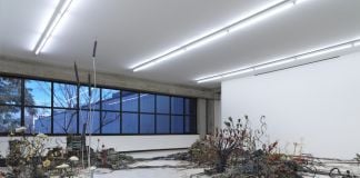 Kintera room Krištof Kintera Dalla mostra / From the exhibition Postnaturalia, 2017 Collezione Maramotti, Reggio Emilia, 2019 Ph. Dario Lasagni