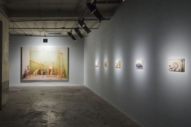 Manuele Cerutti, Motus naturalis, installation view at Guido Costa Projects, Torino 2018. Photo Cristina Leoncini