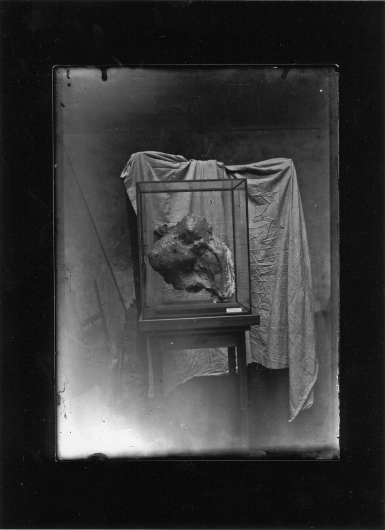 Medardo Rosso, stampa moderna a contatto, s.d., collezione privata