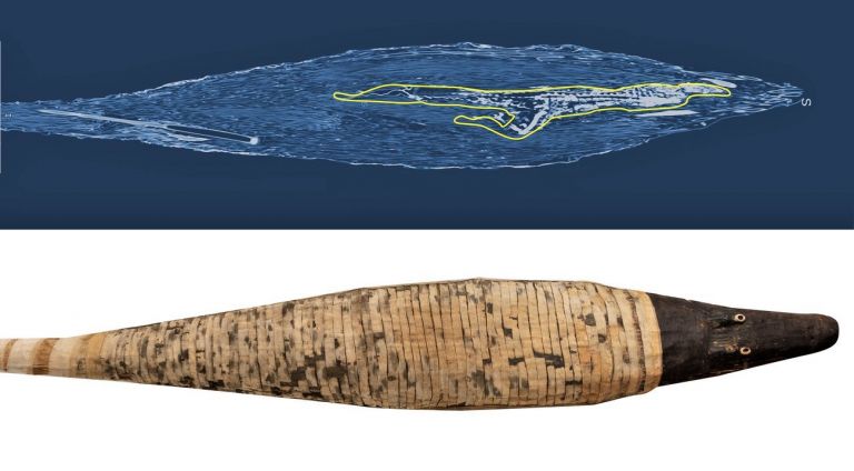 Mummia di coccodrillo avvolta in bende e in una stuoia di canne con la sua radiografia. Collezione Drovetti. Courtesy Museo Egizio, Torino