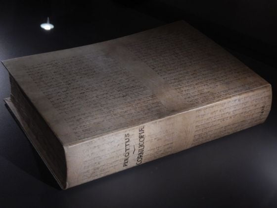 Niccolò Perotti, Cornucopiae linguae latinae, Milano 1498, Triv. Inc. A 110