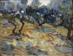 Vincent van Gogh, Olive Trees. National Galleries of Scotland