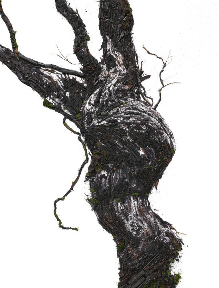 Vik Muniz per Ruinart, Masterpiece, Flow Vine