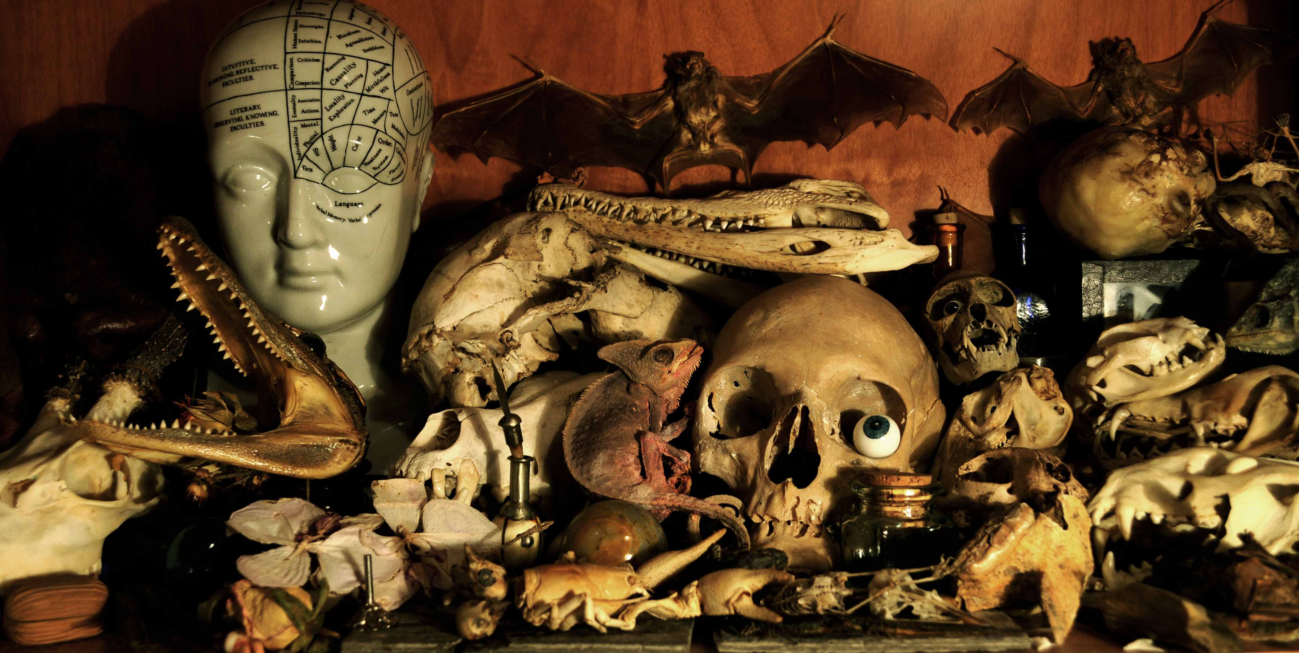 Wunderkammer – Le stanze della meraviglia: il documentario