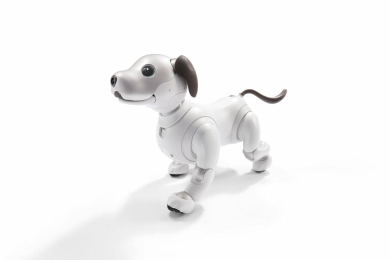 AI: More Than Human aibo © Sony corporation