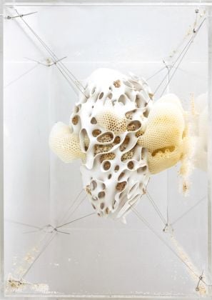 AI: More Than Human Mediated Matter Synthetic Apiary Honeybee hive in the Synthetic Apiary environment. © The Mediated Matter Group