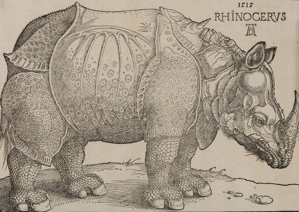 Albrecht Dürer, Rinoceronte, xilografia, Collezione Remondini