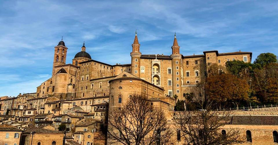 Urbino