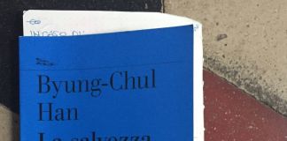 Byung-Chul Han – La salvezza del bello (Nottetempo, Milano 2019), dettaglio