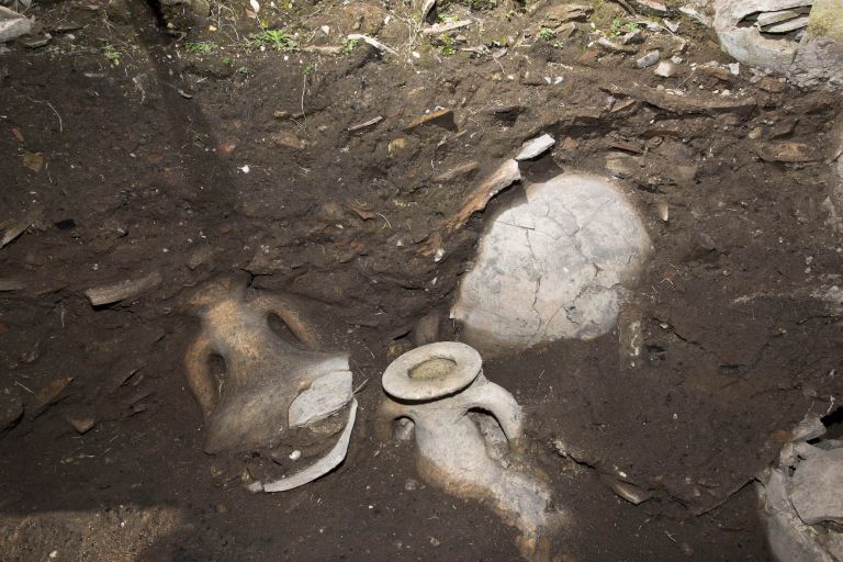 Scavi archeologici a Palazzo Corsini a Roma. Ph. credits Soprintendenza Speciale di Roma - D'Agostini - Sansonetti