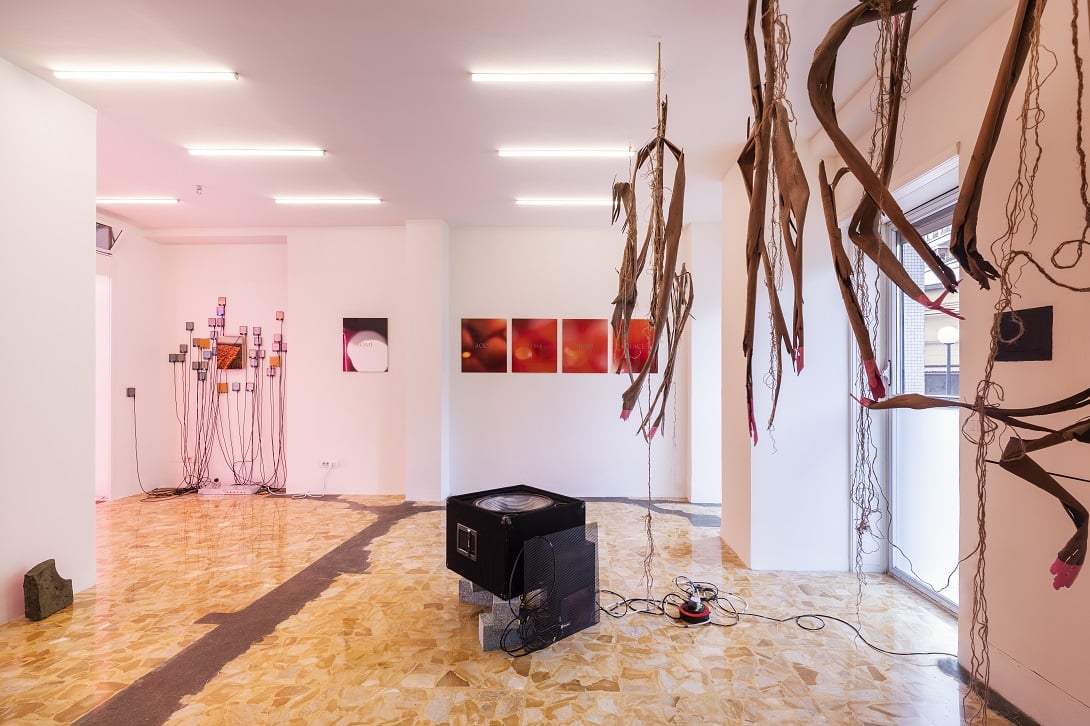 Galera San Soda, installation view. Photocredit Delfino Sisto Legnani