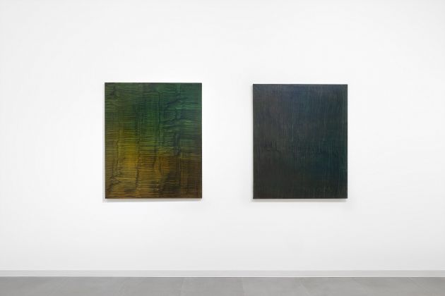 Giuseppe Adamo, Sulcus 6 e Sulcus 7, 2019, acrilico su lino, 120 x 100 cm, photo Enrico Fiorese