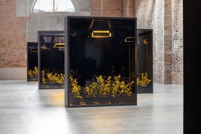 Hicham Berrada, Mesk-Ellil, 2015-19. Courtesy the artist & kamel mennour. Installation view at Punta della Dogana, Venezia 2019 © Palazzo Grassi. Photo Delfino Sisto Legnani & Marco Cappelletti