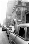 Inge Morath, Un lama a Times Square, New York, 1957 © Fotohof archiv - Inge Morath - Magnum Photos