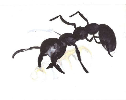 Letizia Calori, Mystrium (formiche vampiro), 2019, inchiostro e acquarello su carta, 29,7x21cm
