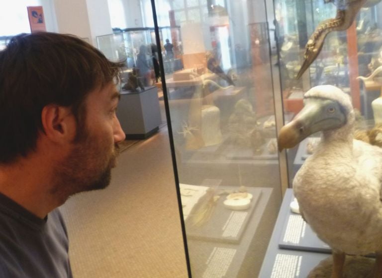 Luca Bertolo, Io e il dodo, Berlino