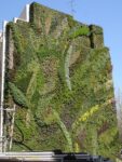 Madrid, Caixa Forum by Patrick Blanc