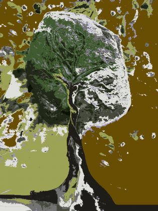 Miriam Secco, Humus 01, 2018, stampa da disegno digitale su TNT antigelo per piante, 21x29,7cm