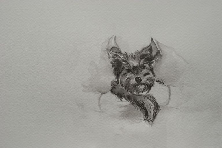 Ruth Beraha, Rocco, 2018 , Chinese Ink on paper, 29,7X21cm
