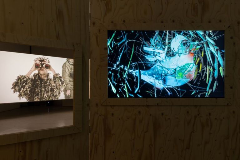 Sören Thilo Funder, The Watchers of Malheur (Tweet Tweet), 2019. Den Frie, installation view. Courtesy Den Frie. Photo David Stjernholm