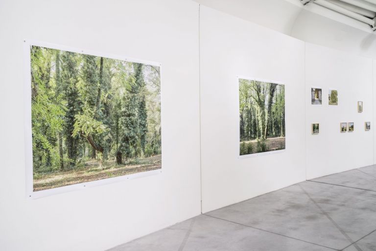 Verde Prato. Exhibition view at Centro Pecci Prato 2019. Photo OKNOstudio 7 Dalla manifattura tessile alla forestazione urbana. Il futuro di Prato in una mostra
