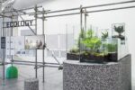 Verde Prato. Exhibition view at Centro Pecci Prato 2019. Photo OKNOstudio 9 Dalla manifattura tessile alla forestazione urbana. Il futuro di Prato in una mostra