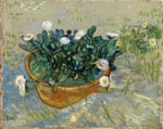 Vincent van Gogh, Margherite, Arles, 1888, credits Virginia Museum of Fine Arts