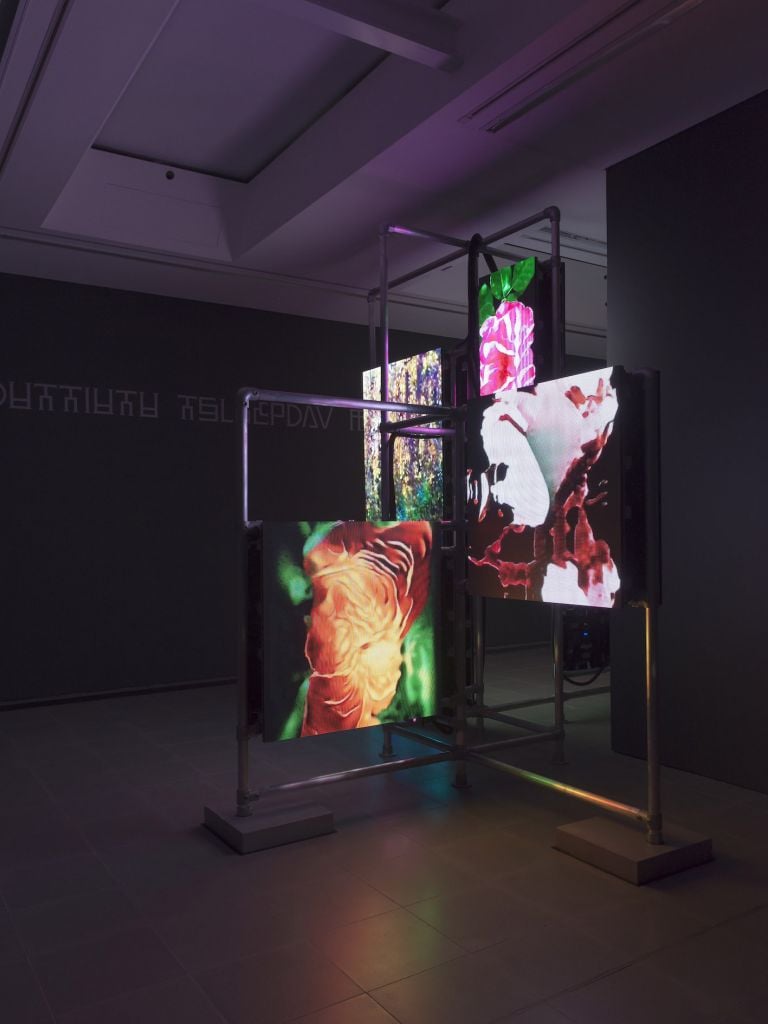 Hito Steyerl Power Plants Installation view, 11 April – 6 May 2019, Serpentine Galleries AR application design by Ayham Ghraowi, Developed by Ivaylo Getov, Luxloop Courtesy of the Artist, Andrew Kreps Gallery (New York) and Esther Schipper Gallery (Berlin) Photograph © 2019 readsreads.info