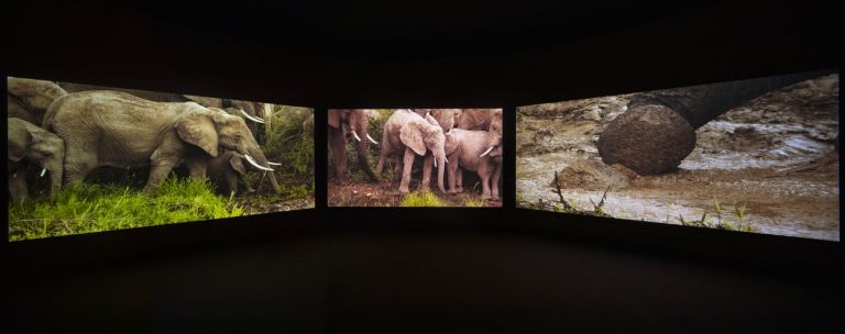 58. Biennale di Venezia. Padiglione Ghana. John Akomfrah, The Elephant in the Room – Four Nocturnes, 2019. Courtesy the artist and White Cube. Photo David Levene. Photo David Levene