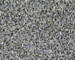 Ai Weiwei, Sunflower Seeds, 2010 (detail), Courtesy Ai Weiwei Studio