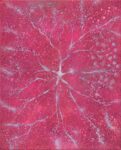 Alberto di Fabio, Sinapsi e cosmo rosa, 2009, acrilico su tela, 50x40 cm.