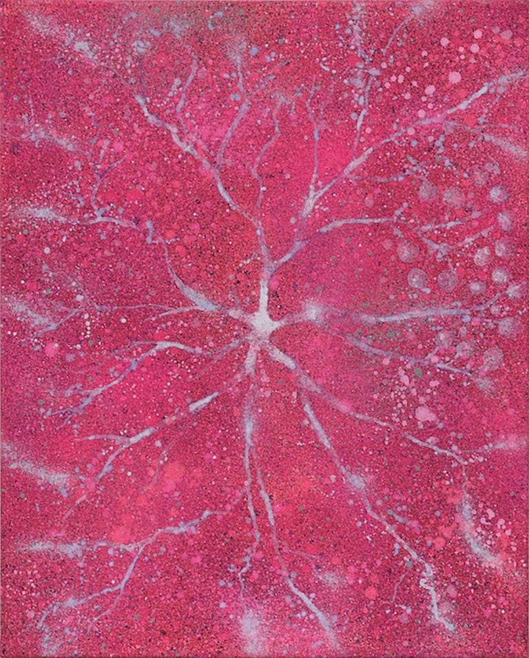 Alberto di Fabio, Sinapsi e cosmo rosa, 2009, acrilico su tela, 50x40 cm.