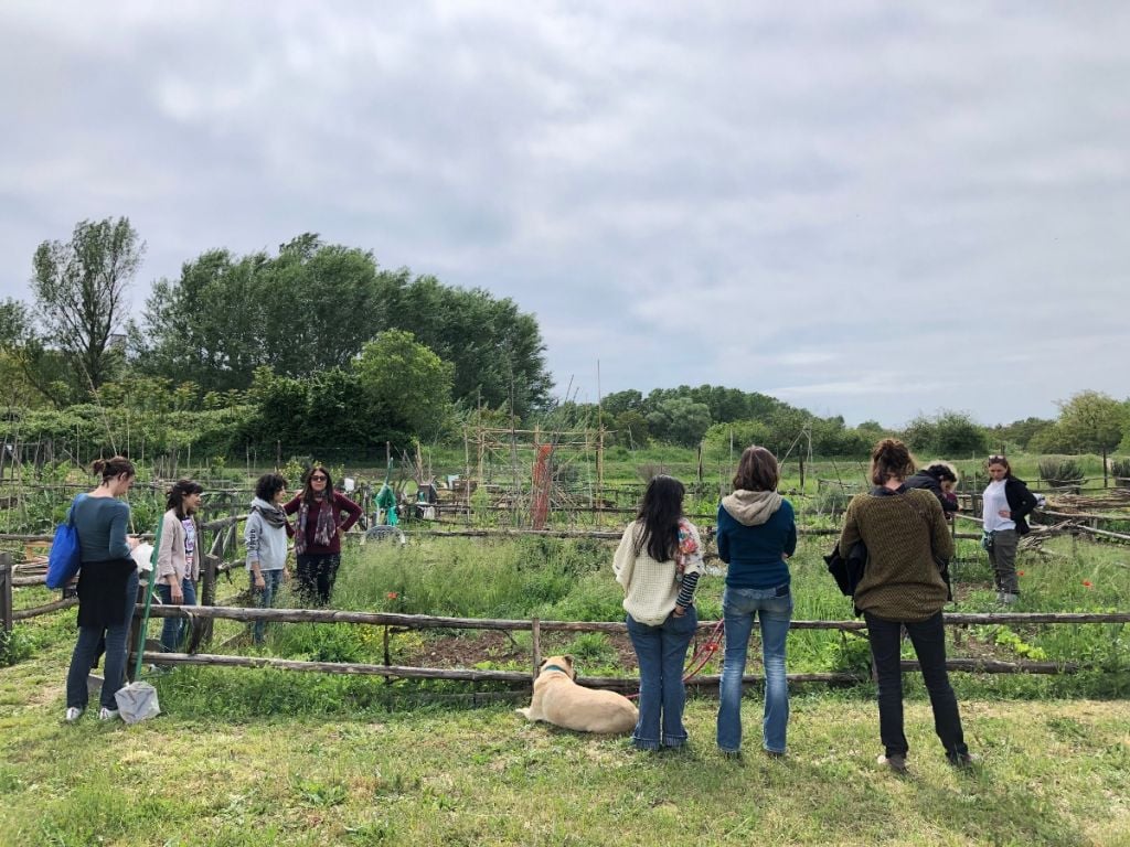 Arte e scienza. Andreco invita alla piantumazione collettiva della Riserva Naturale dell’Aniene