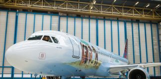 L'aereo di Jos de Gruyter e Harald Thys, Brussels Airlines per Breugel