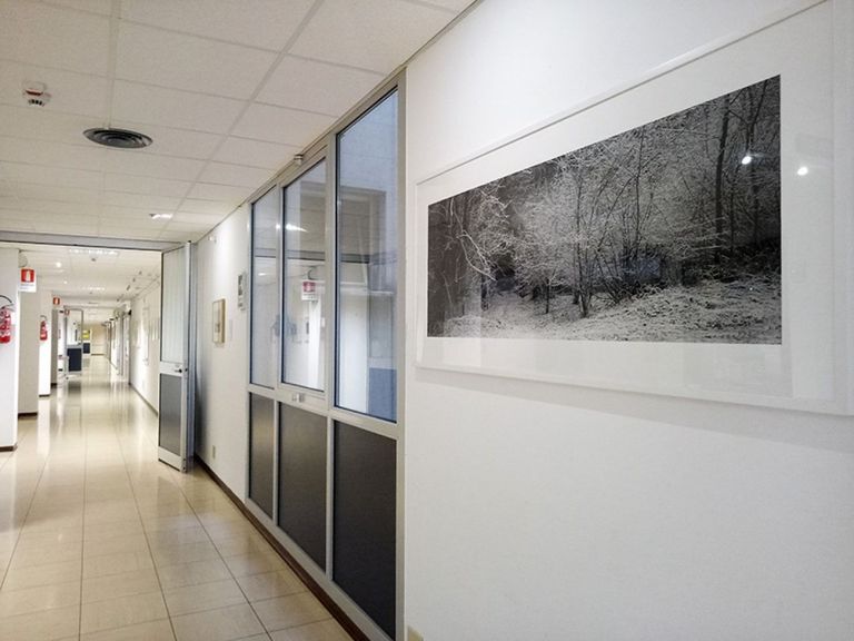 Battiti nel Paesaggio. Installation view at Ospedale Ca’ Foncello, Reparto di Cardiologia, Treviso