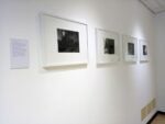 Battiti nel Paesaggio. Installation view at Ospedale Ca’ Foncello, Reparto di Cardiologia, Treviso
