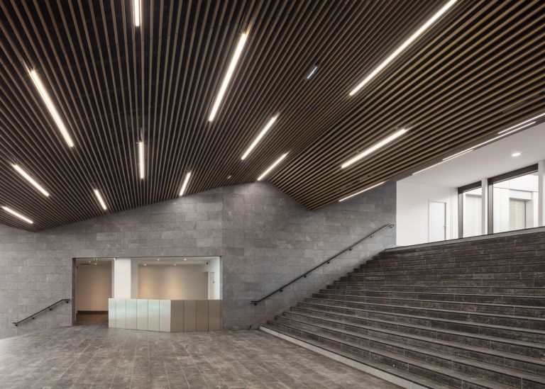 Baumschlager Eberle Architekten and SCAPE Green Office® ENJOY. Photo Luc Boegly, 2019