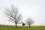 Gijs Van Vaerenbergh, Reading between the Lines, Borgloon. Photo Filip Dujardin