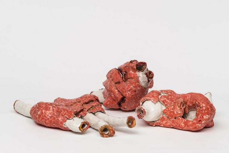 Sabino de Nichilo, Carne frolla, 2017-18. Photo Sebastiano Luciano