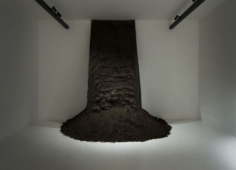 Susana Serpas Soriano, Orizzonte di terra, 2019. Photo Credit Susana Serpas Soriano