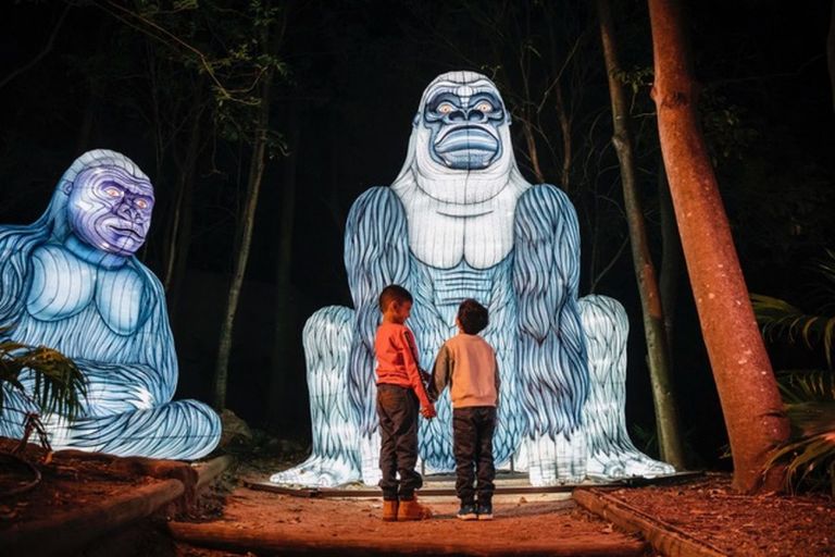 Vivid Sydney 2019. Taronga Zoo. Photo credit Destination NSW